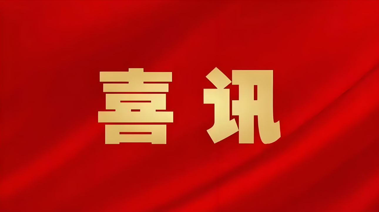 喜讯丨尊龙时凯集团荣膺2024年度广西水运建设市场监理企业信用评价“AA”级